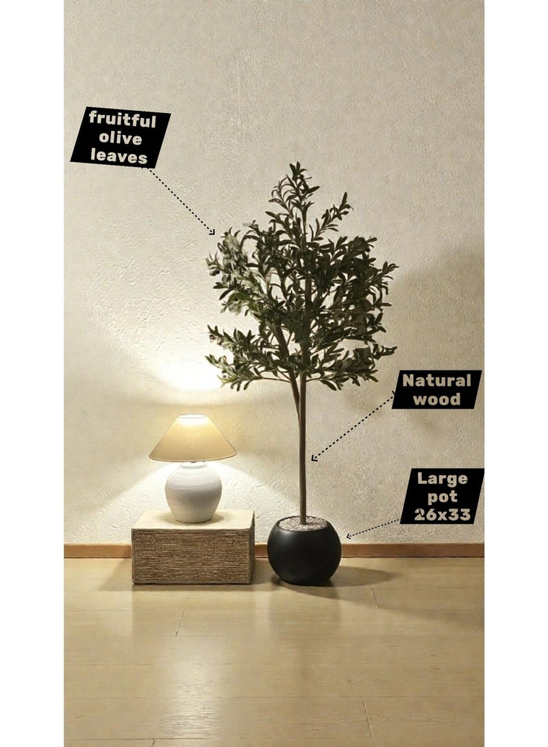 بيت الرواسم شجر زيتون مثمر مع اصيص اسود كبير بتصميم جذاب  مقاسات مختلفة - Image 5